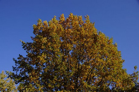 Bad Sassendorf